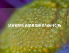 足彩看欧赔还是亚赔策略与选择分析
