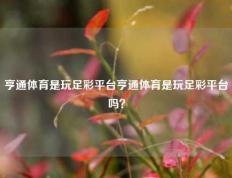 亨通体育是玩足彩平台亨通体育是玩足彩平台吗？