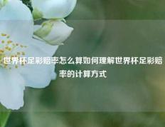 世界杯足彩赔率怎么算如何理解世界杯足彩赔率的计算方式