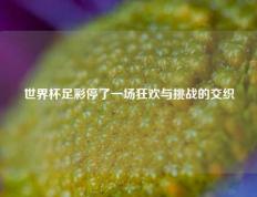 世界杯足彩停了一场狂欢与挑战的交织