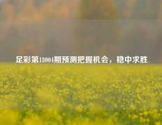 足彩第18004期预测把握机会，稳中求胜