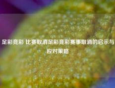 足彩竞彩 比赛取消足彩竞彩赛事取消的启示与应对策略