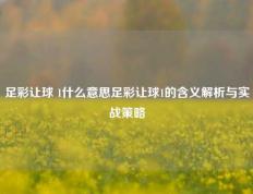 足彩让球 1什么意思足彩让球1的含义解析与实战策略