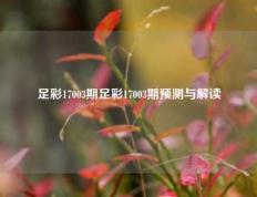 足彩17003期足彩17003期预测与解读