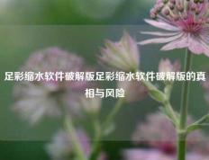足彩缩水软件破解版足彩缩水软件破解版的真相与风险