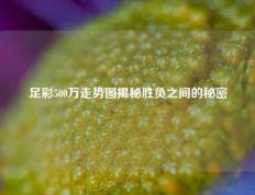 足彩500万走势图揭秘胜负之间的秘密