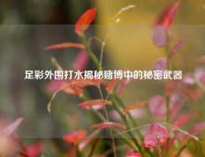 足彩外围打水揭秘赌博中的秘密武器