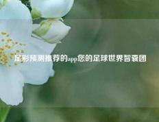 足彩预测推荐的app您的足球世界智囊团