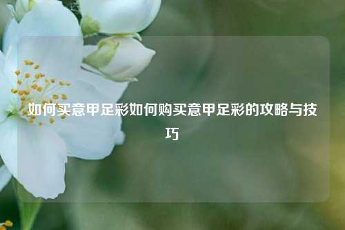 如何买意甲足彩如何购买意甲足彩的攻略与技巧