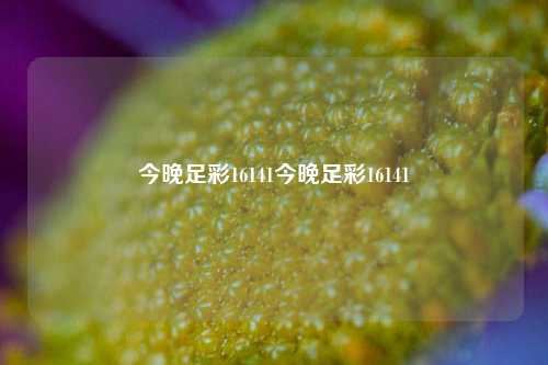 今晚足彩16141今晚足彩16141