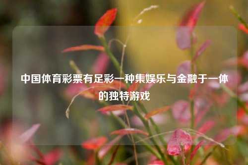 中国体育彩票有足彩一种集娱乐与金融于一体的独特游戏