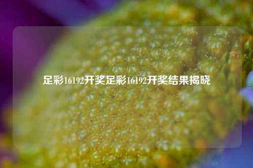 足彩16192开奖足彩16192开奖结果揭晓