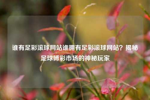 谁有足彩滚球网站谁拥有足彩滚球网站？揭秘足球博彩市场的神秘玩家