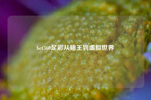 bet360足彩从赌王到虚拟世界