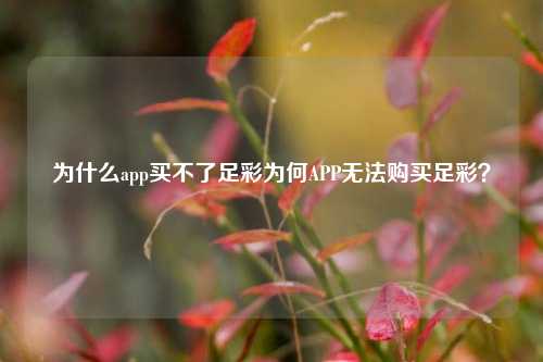 为什么app买不了足彩为何APP无法购买足彩？