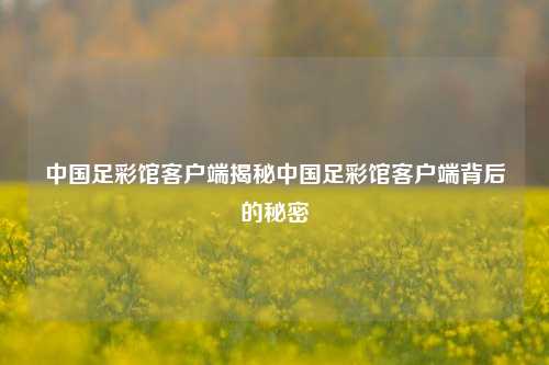 中国足彩馆客户端揭秘中国足彩馆客户端背后的秘密