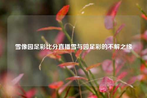 雪像园足彩比分直播雪与园足彩的不解之缘