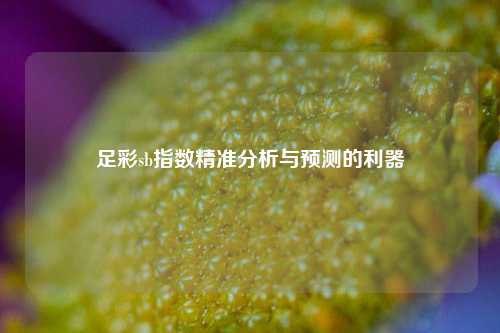 足彩sb指数精准分析与预测的利器