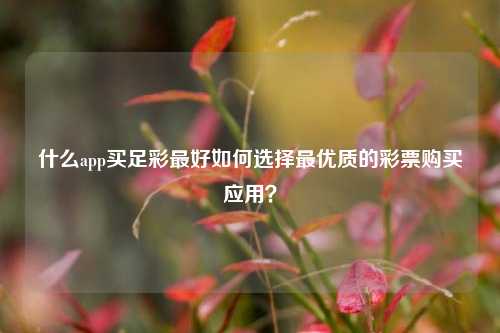 什么app买足彩最好如何选择最优质的彩票购买应用？
