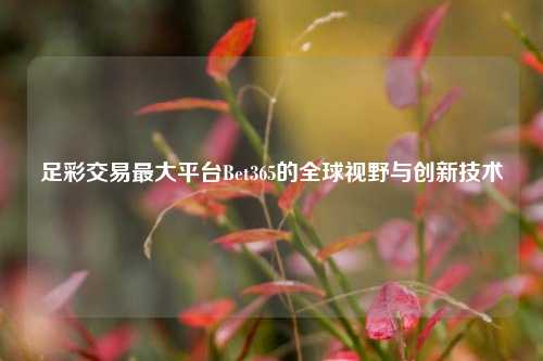 足彩交易最大平台Bet365的全球视野与创新技术