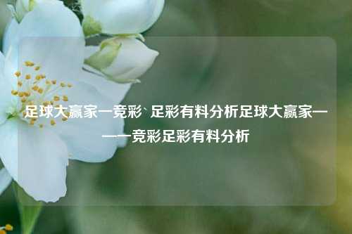 足球大赢家一竞彩`足彩有料分析足球大赢家——一竞彩足彩有料分析
