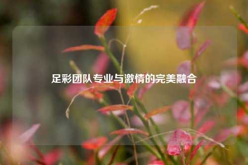 足彩团队专业与激情的完美融合