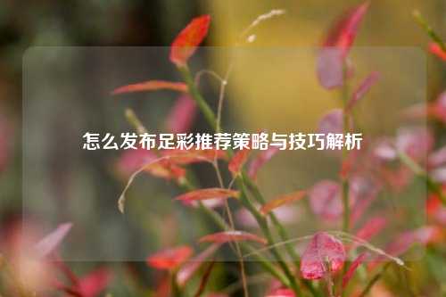 怎么发布足彩推荐策略与技巧解析