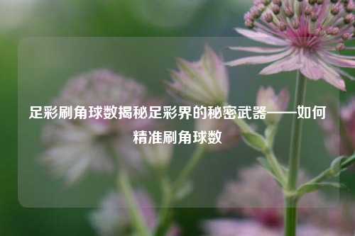 足彩刷角球数揭秘足彩界的秘密武器——如何精准刷角球数