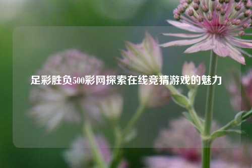 足彩胜负500彩网探索在线竞猜游戏的魅力