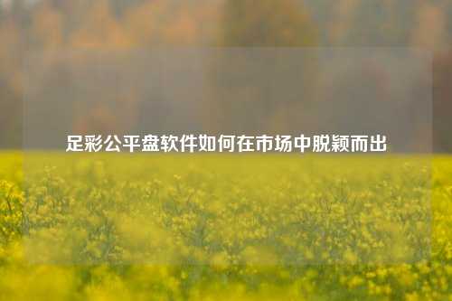 足彩公平盘软件如何在市场中脱颖而出