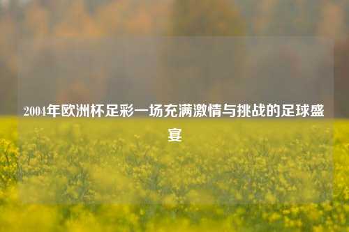 2004年欧洲杯足彩一场充满激情与挑战的足球盛宴