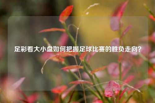 足彩看大小盘如何把握足球比赛的胜负走向？