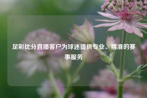 足彩比分直播客户为球迷提供专业、精准的赛事服务
