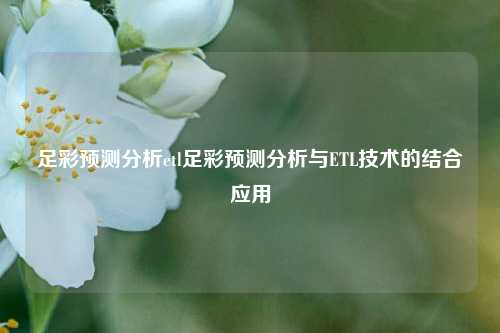 足彩预测分析etl足彩预测分析与ETL技术的结合应用