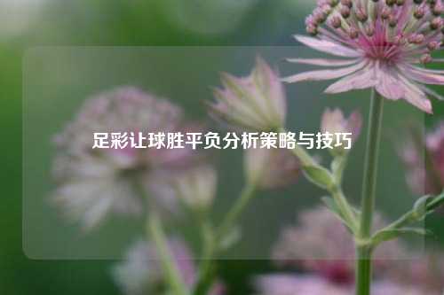 足彩让球胜平负分析策略与技巧