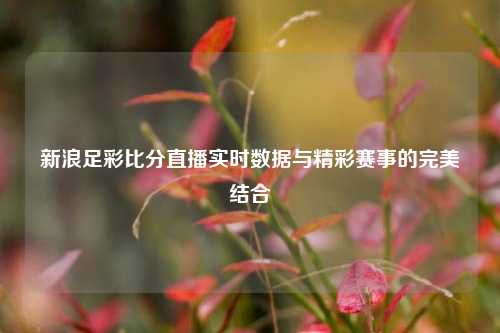 新浪足彩比分直播实时数据与精彩赛事的完美结合