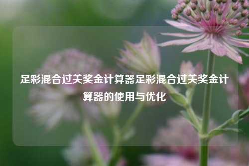 足彩混合过关奖金计算器足彩混合过关奖金计算器的使用与优化