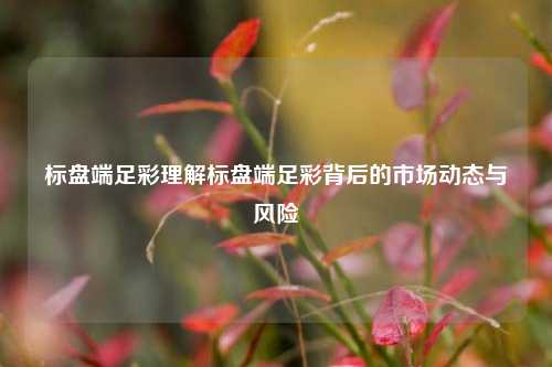 标盘端足彩理解标盘端足彩背后的市场动态与风险