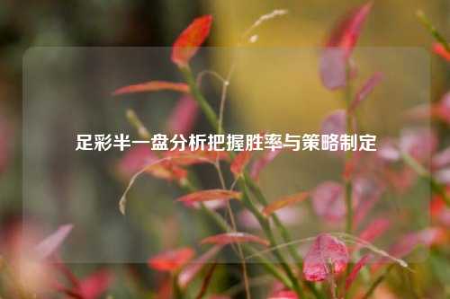 足彩半一盘分析把握胜率与策略制定