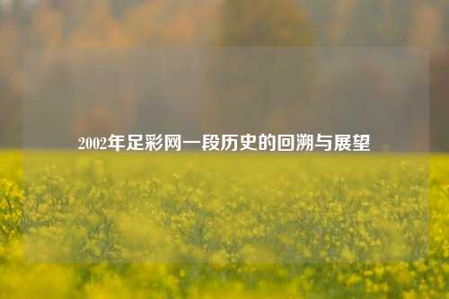 2002年足彩网一段历史的回溯与展望