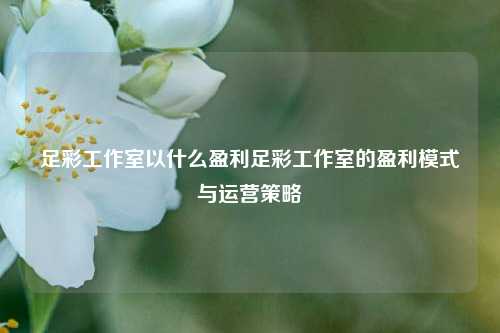 足彩工作室以什么盈利足彩工作室的盈利模式与运营策略
