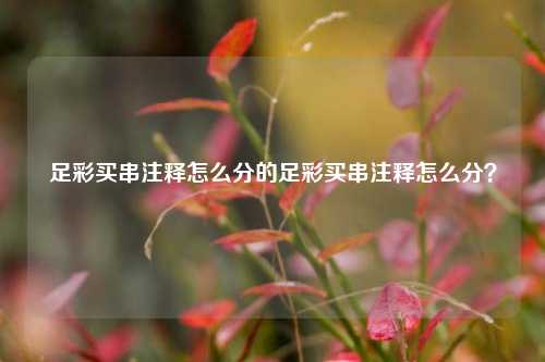 足彩买串注释怎么分的足彩买串注释怎么分？