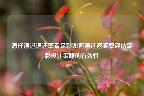 怎样通过返还率看足彩如何通过返奖率评估足彩投注策略的有效性