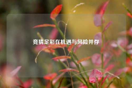 竞猜足彩在机遇与风险并存