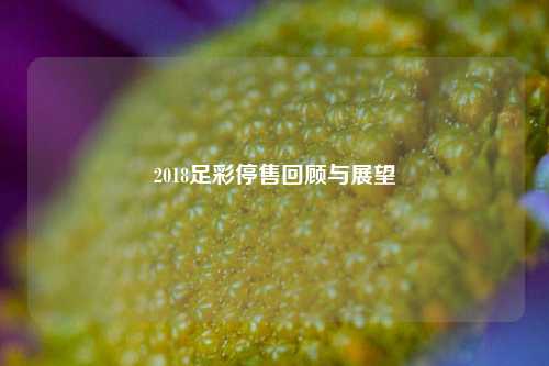 2018足彩停售回顾与展望