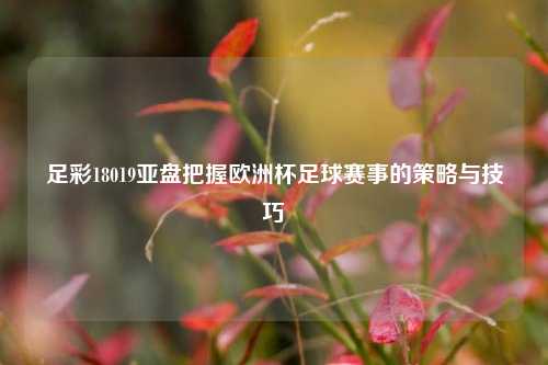 足彩18019亚盘把握欧洲杯足球赛事的策略与技巧