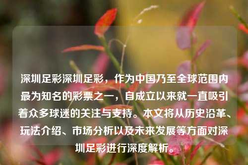 深圳足彩深圳足彩，作为中国乃至全球范围内最为知名的彩票之一，自成立以来就一直吸引着众多球迷的关注与支持。本文将从历史沿革、玩法介绍、市场分析以及未来发展等方面对深圳足彩进行深度解析。