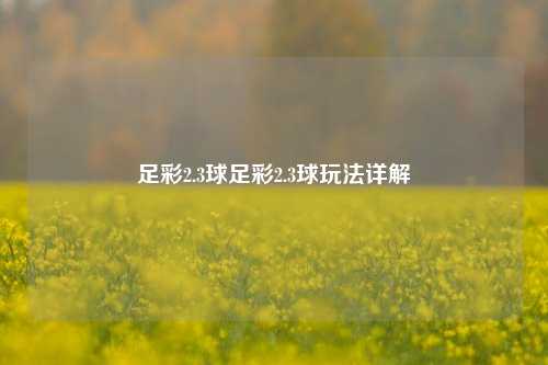 足彩2.3球足彩2.3球玩法详解