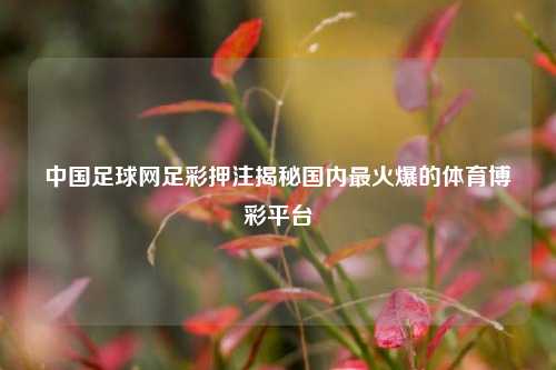 中国足球网足彩押注揭秘国内最火爆的体育博彩平台