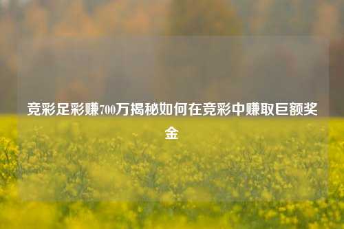 竞彩足彩赚700万揭秘如何在竞彩中赚取巨额奖金